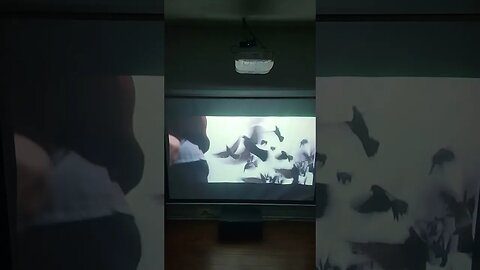 Man cave chill spot. #hometheater #mancave #movie #like #share #subscribe #shorts #short