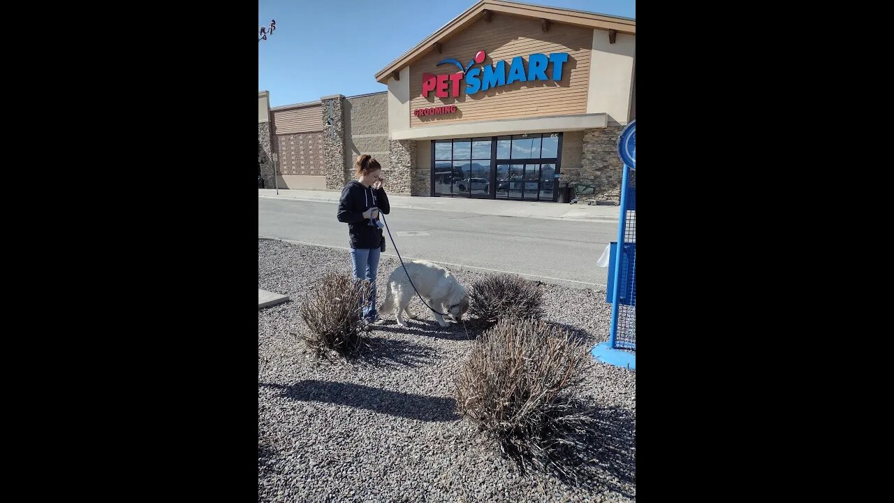 Fear Training a Young Lab