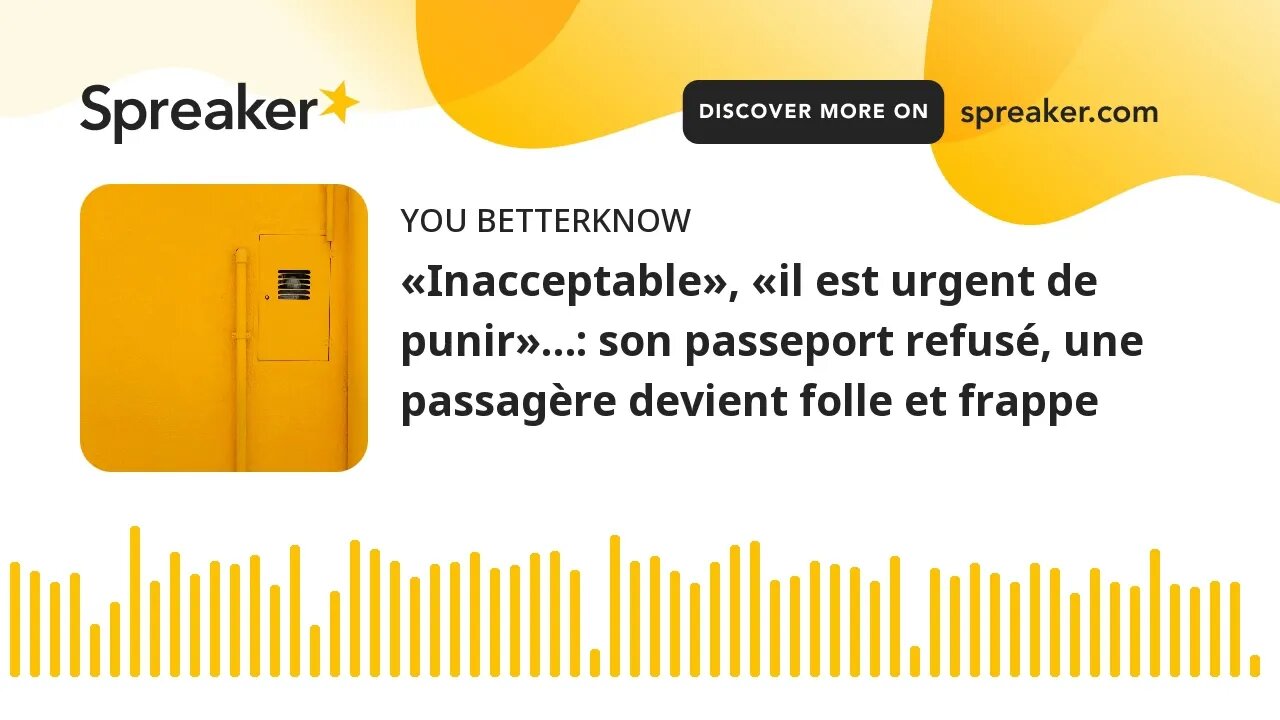 «Inacceptable», «il est urgent de punir»…: son passeport refusé, une passagère devient folle et frap