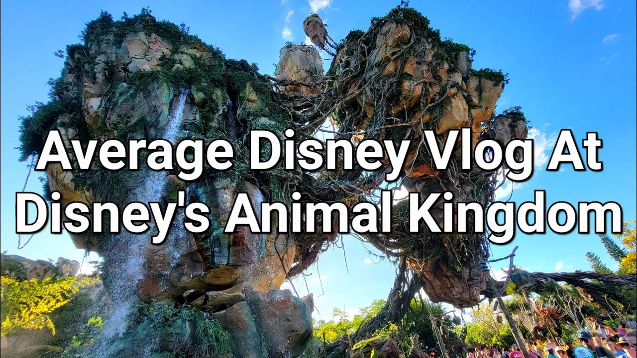 Average Disney Vlog At Disney's Animal Kingdom