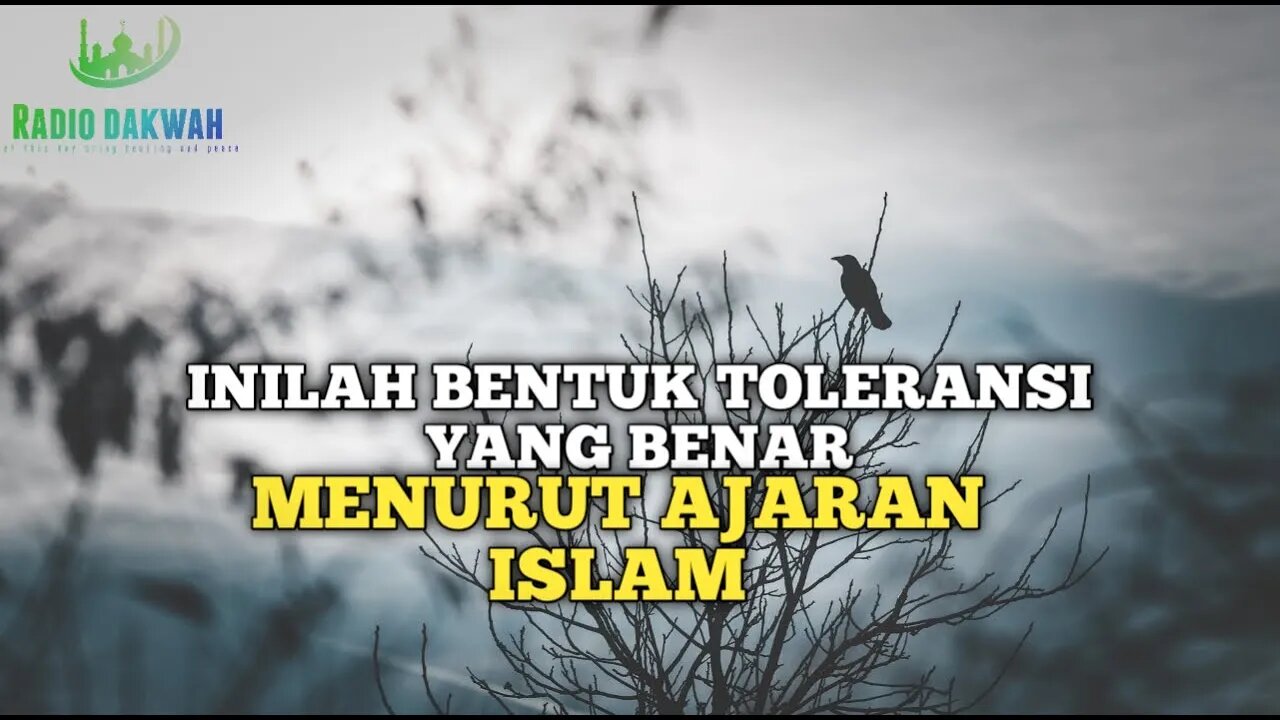 INILAH BENTUK TOLERANSI YANG BENAR MENURUT AGAMA ISLAM