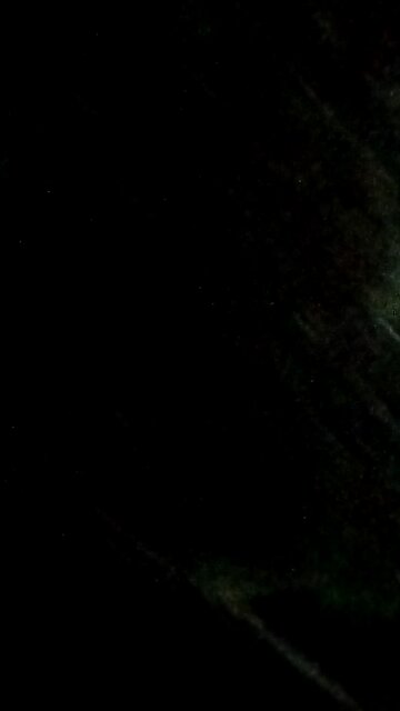 Exploring the back side of our property!! (SPOOKY)