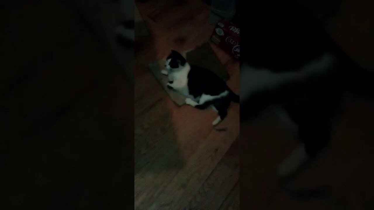 "Carpet Orb Cat Post"