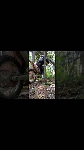 "Joe Flange" in Beast mode 🤩✊ Yesssssir!!🤪🤘