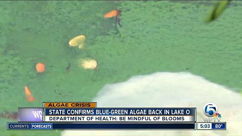 Workshops scheduled following Lake Okeechobee algae blooms