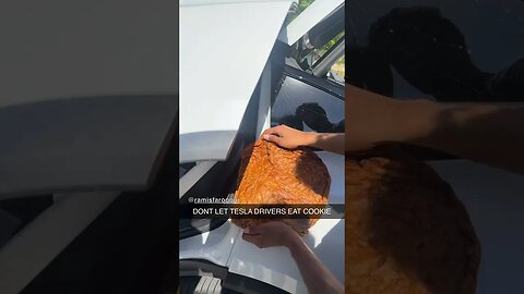 COOKIE VS TESLA #shorts #tesla