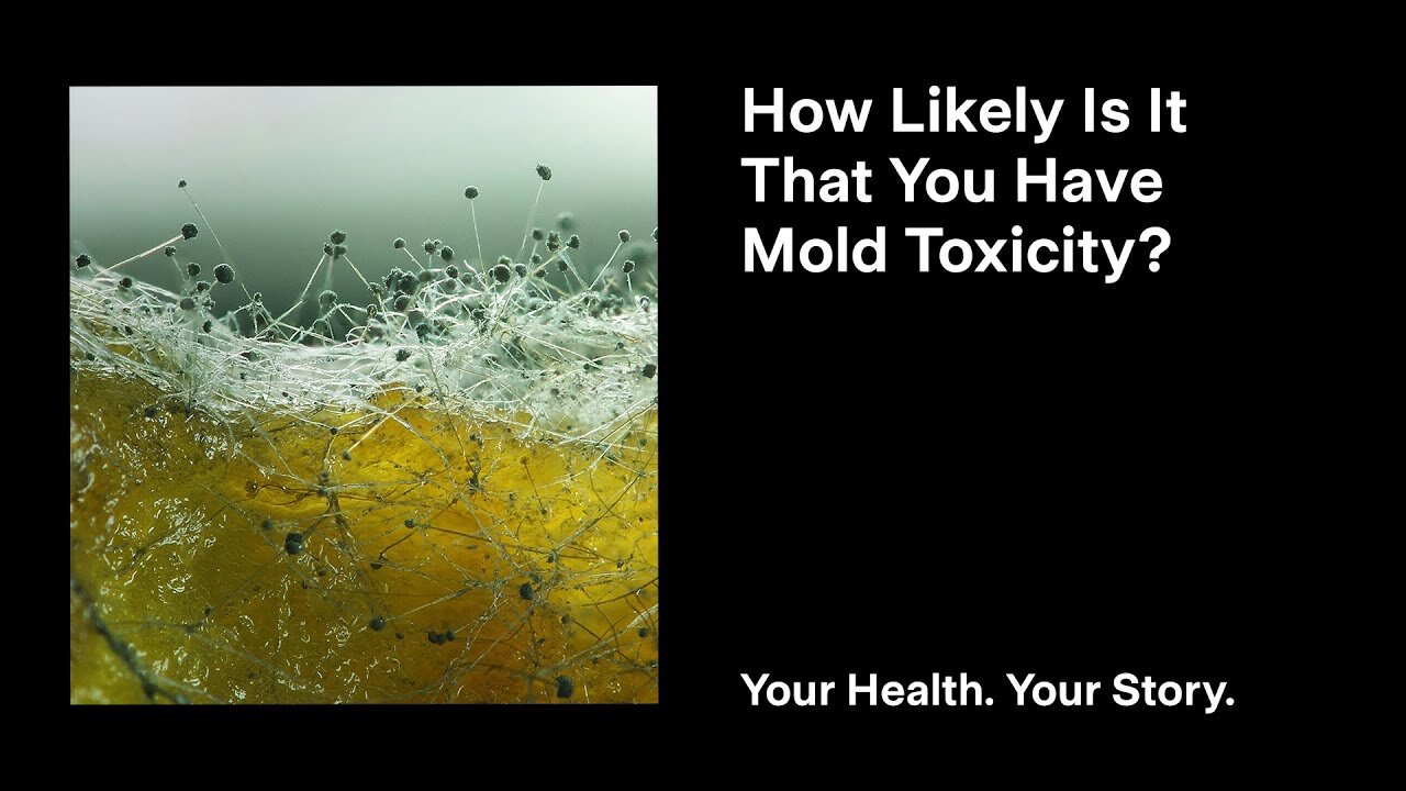 How Likely Is It That You Have Mold Toxicity?