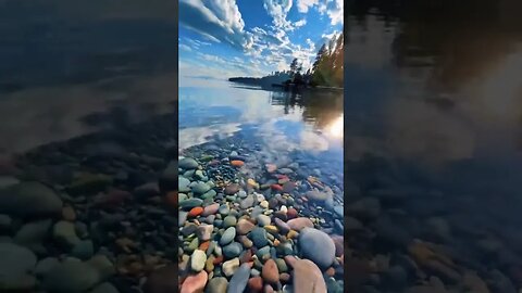 🍃 Relaxing Music with Nature Sounds, 🍃 Forest Music, Sleep Music, Meditation Music #shorts