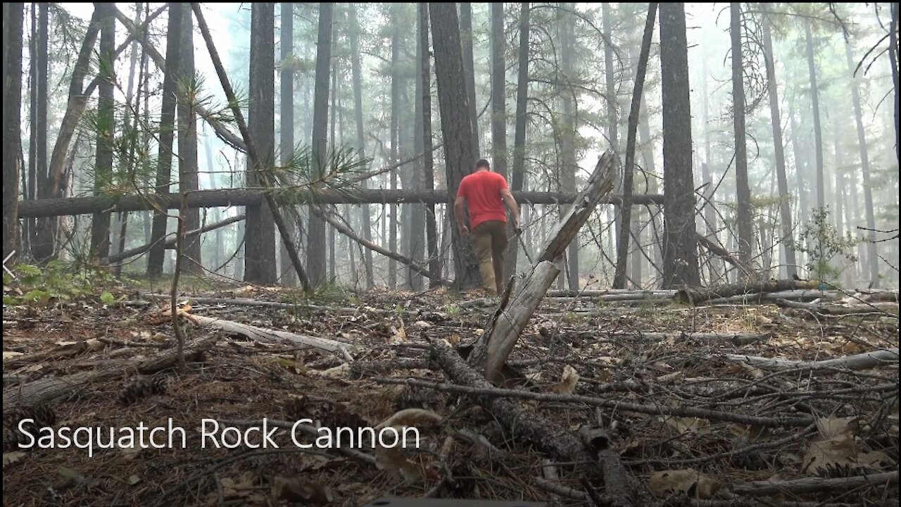 Sasquatch Rock Cannon