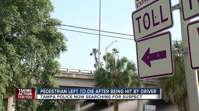 Tampa Hit and Run