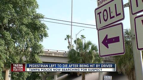 Tampa Hit and Run