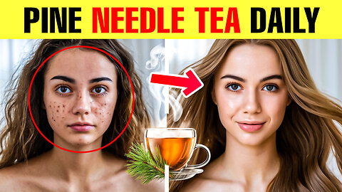 What Happens To Your Body When You Drink a Cup of Pine Needle Tea Daily?