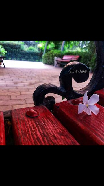 Watch something amazing