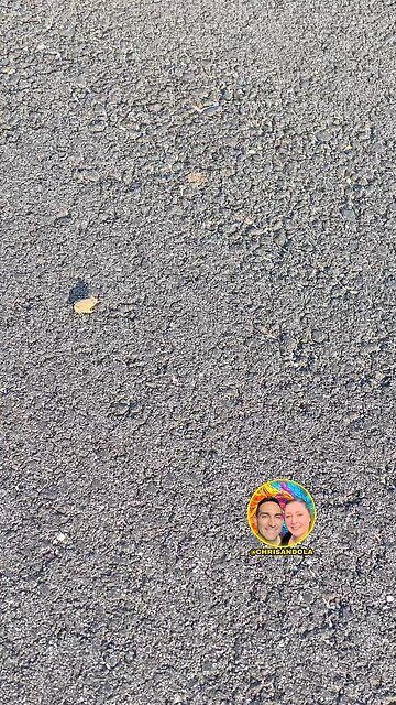 WE’VE GOT A HOPPER 😂