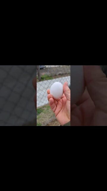 Can I throw an egg across my yard, and it not break? It's possibly a very expensive video.