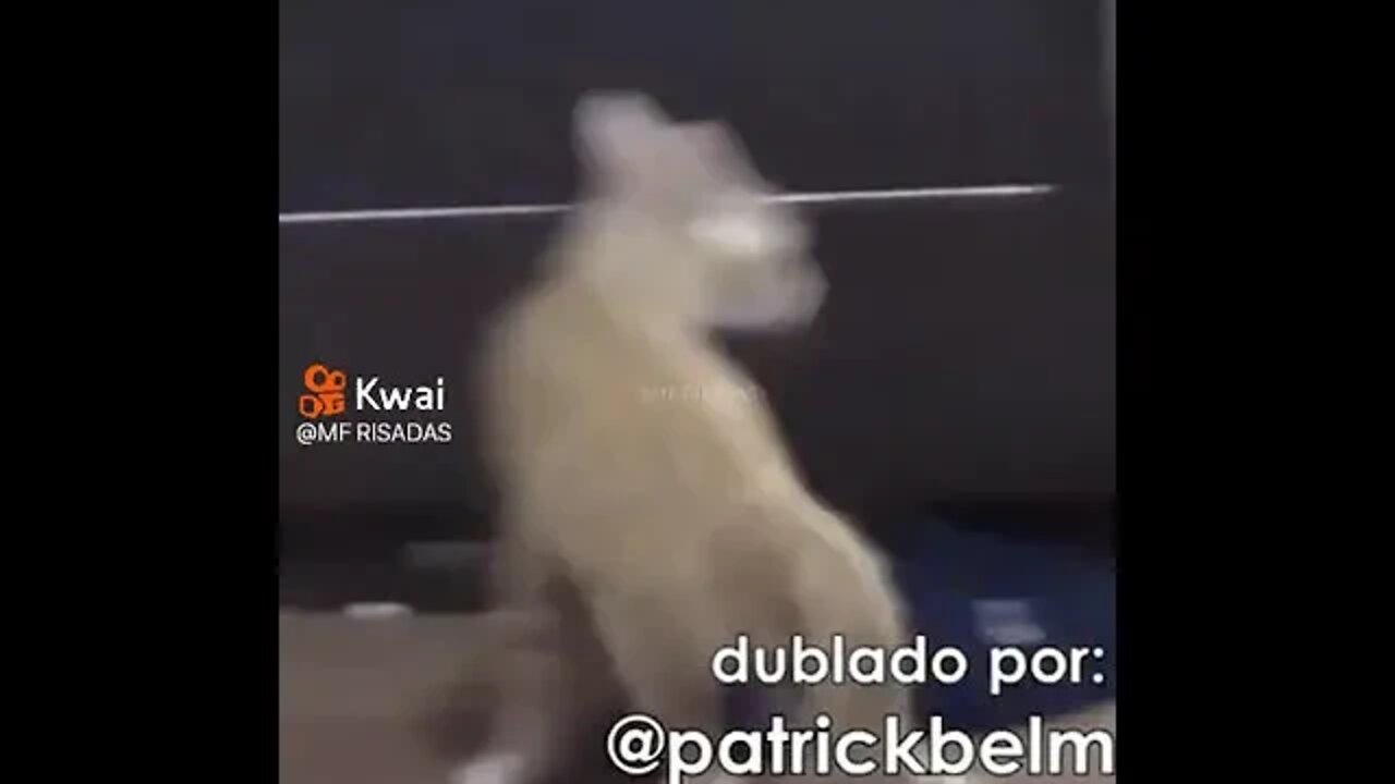 7 de novembro de 2022