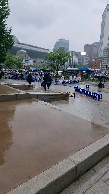 주말 우중 도심. 애국 집회. 240510.