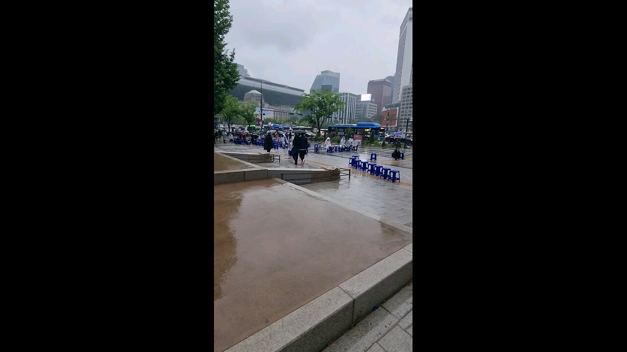 주말 우중 도심. 애국 집회. 240510.