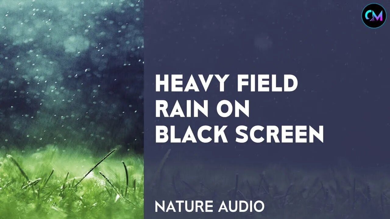 Heavy Field Rain on Black Screen For sleeping, insomnia, relax, study, stress relief and meditation