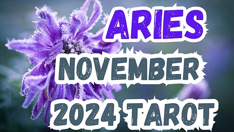 Aries ♈️- Separating passion from pain! November 24 evolutionary tarot #tarotary #tarot #aries