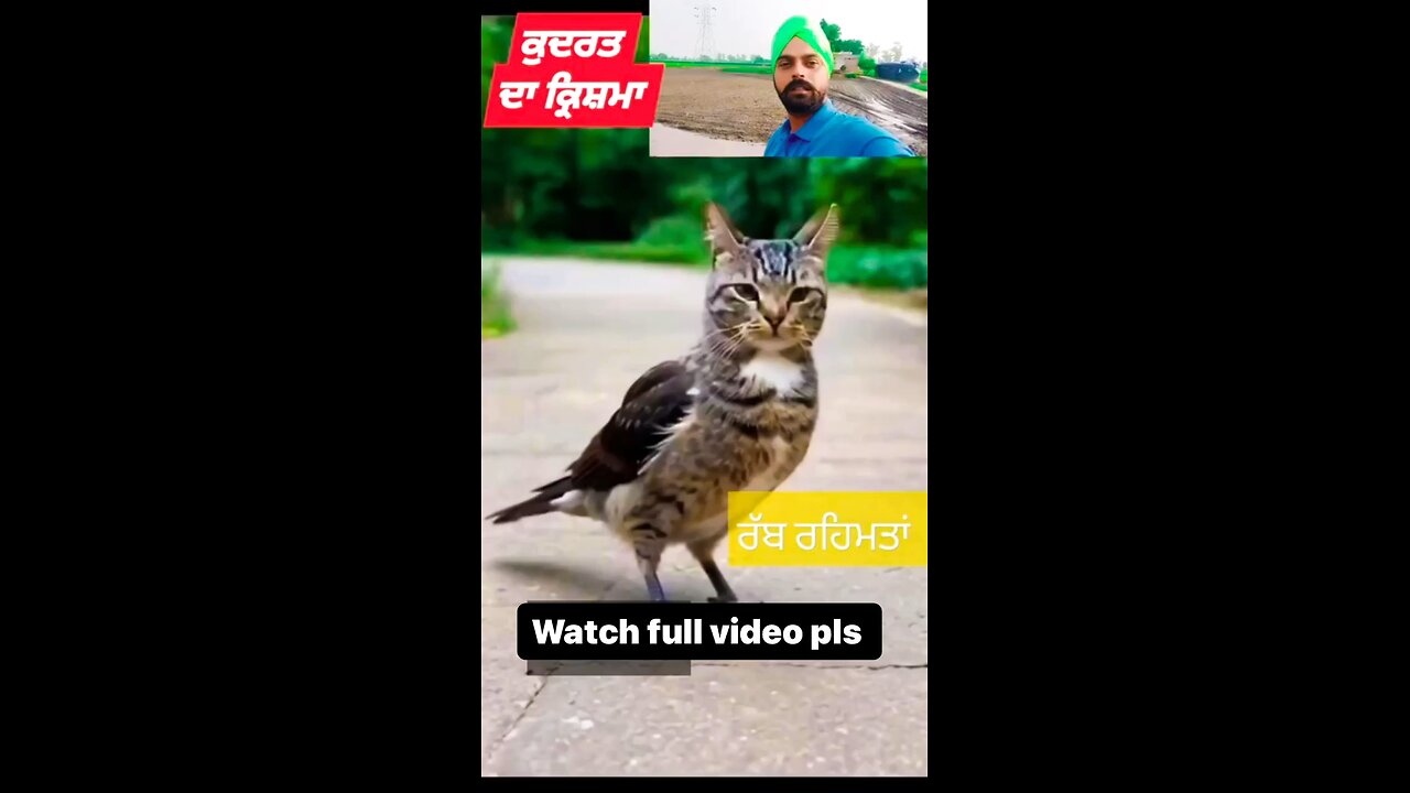 ਰੱਬ ਦੇ ਨਹੀ Ai ਦੇ ਕਮਾਲ ਨੇ ਸਾਰੇ