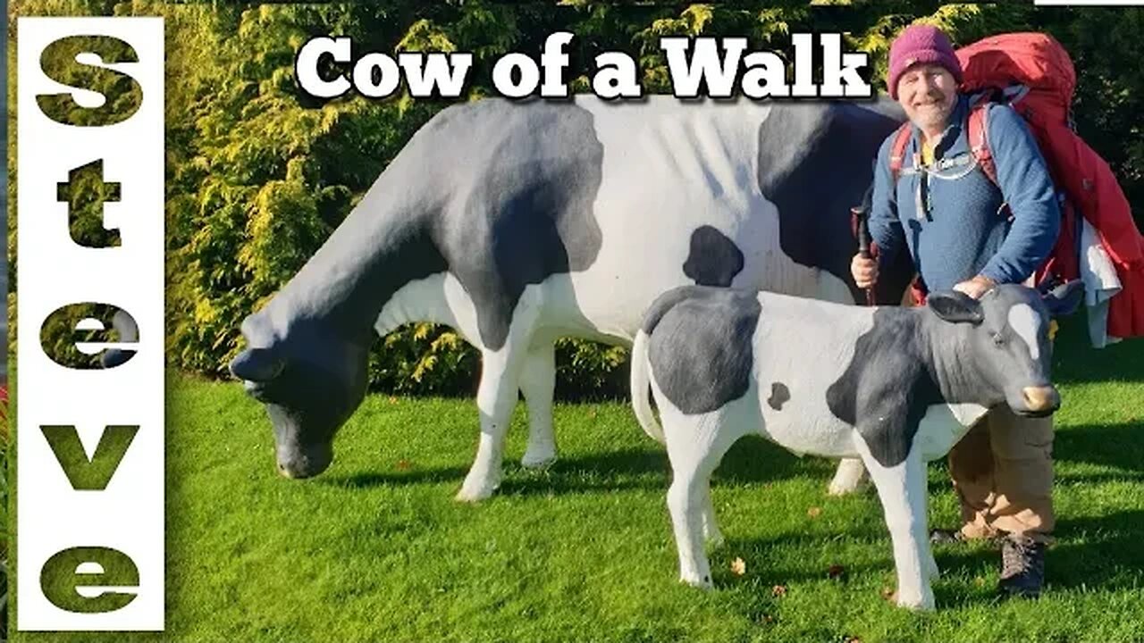 Hard To Carry On - Walking 2000 Kilometres - LIVESTREAM