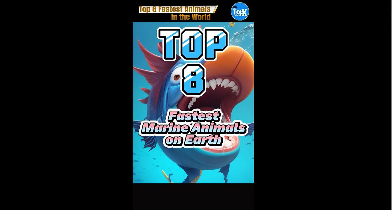 Top 8 Fastest Marine Animals on Earth