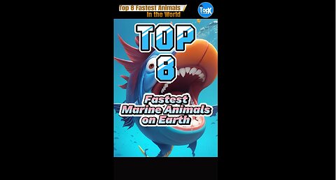 Top 8 Fastest Marine Animals on Earth