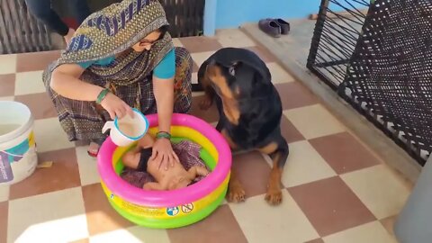 Jerry and Aaru are made for each other Dog protecting baby the rott best Video 5