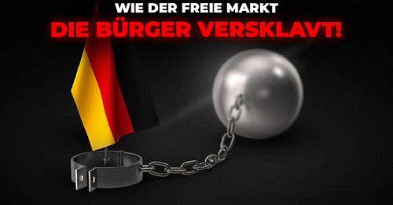 Wieso Deutschland zugrunde geht! Thomas Hansche im Interview