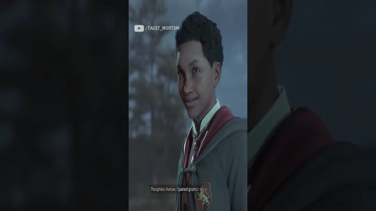 The END Of Harlow In Hogwarts Legacy (Spoilers)