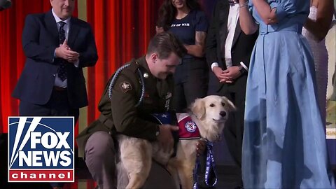 Veteran has surprise reunion with a special dog from overseas