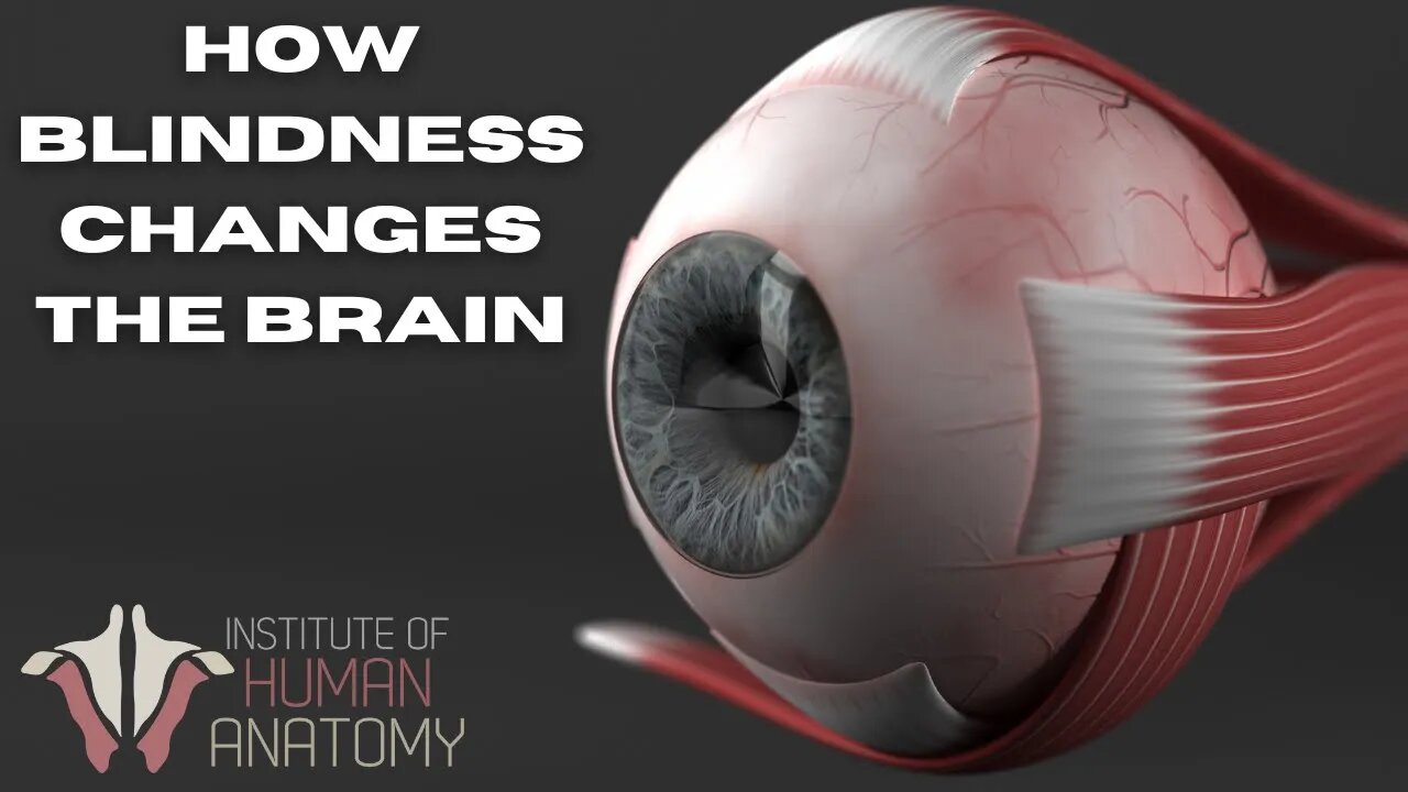 How the Brain Responds to Blindness