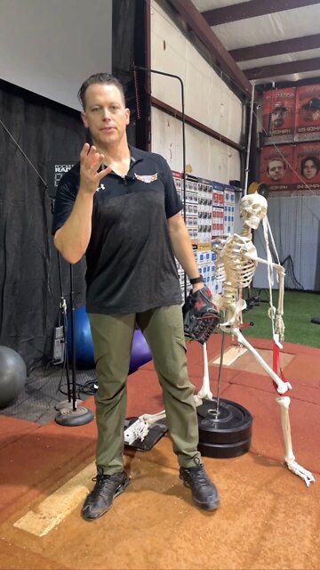 Hip Adduction 🆚 Hip Flexion/Extension