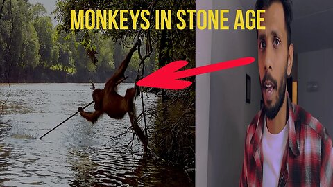 Monkeys are in Stone age now