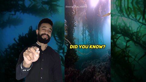 Forests UNDERWATER?