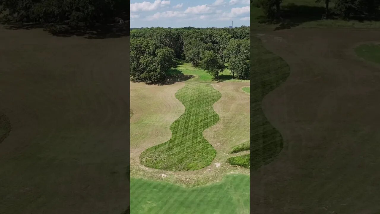 Have You Ever Seen a Lawn This Cool?