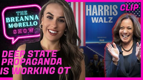 Deep State is Looking to Steal Another Election - Breanna Morello