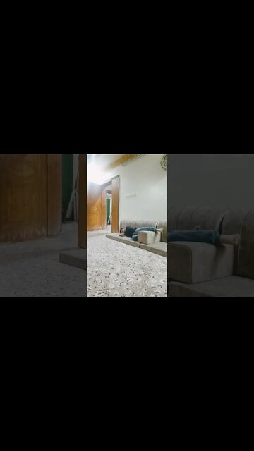 ٢١ نوفمبر، ٢٠٢٢