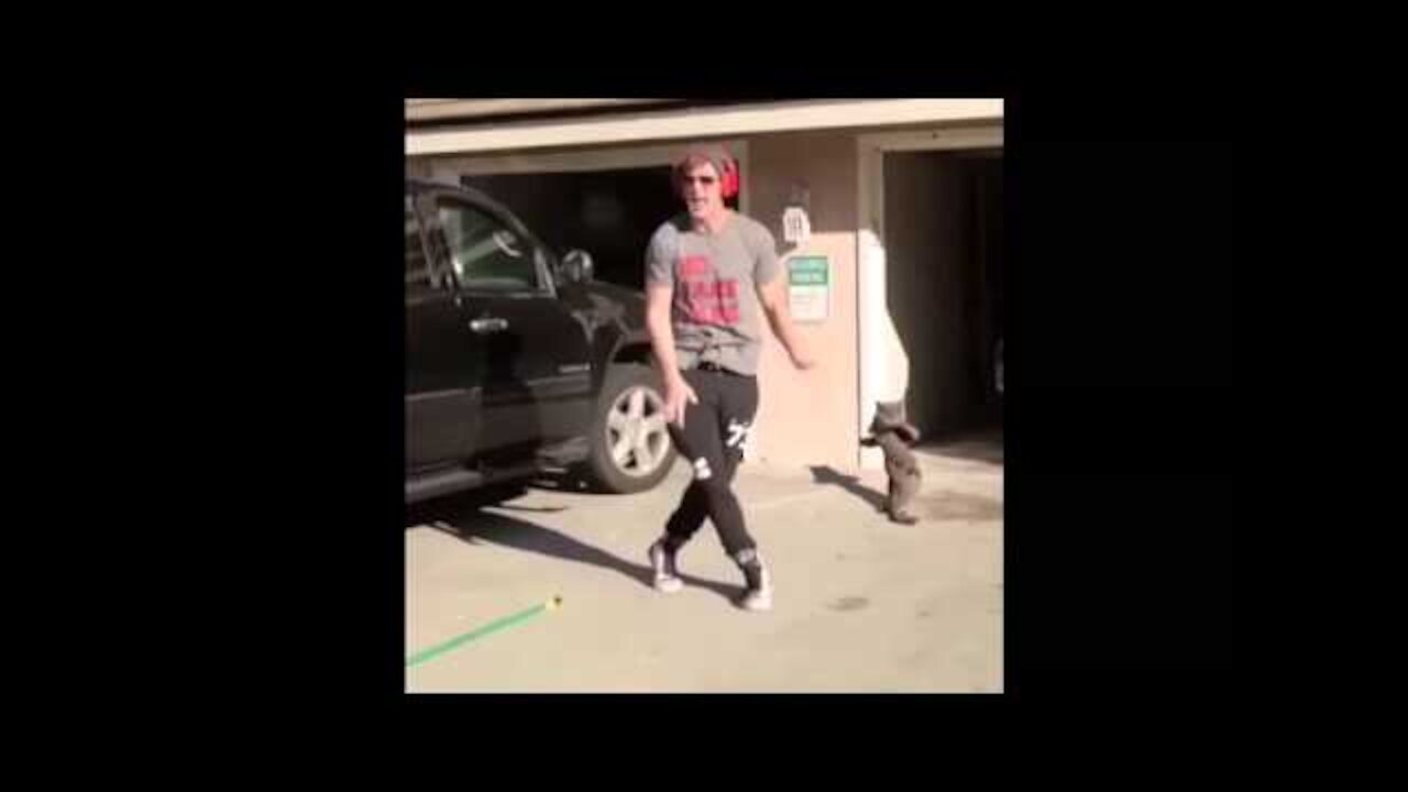 Funny short vine!