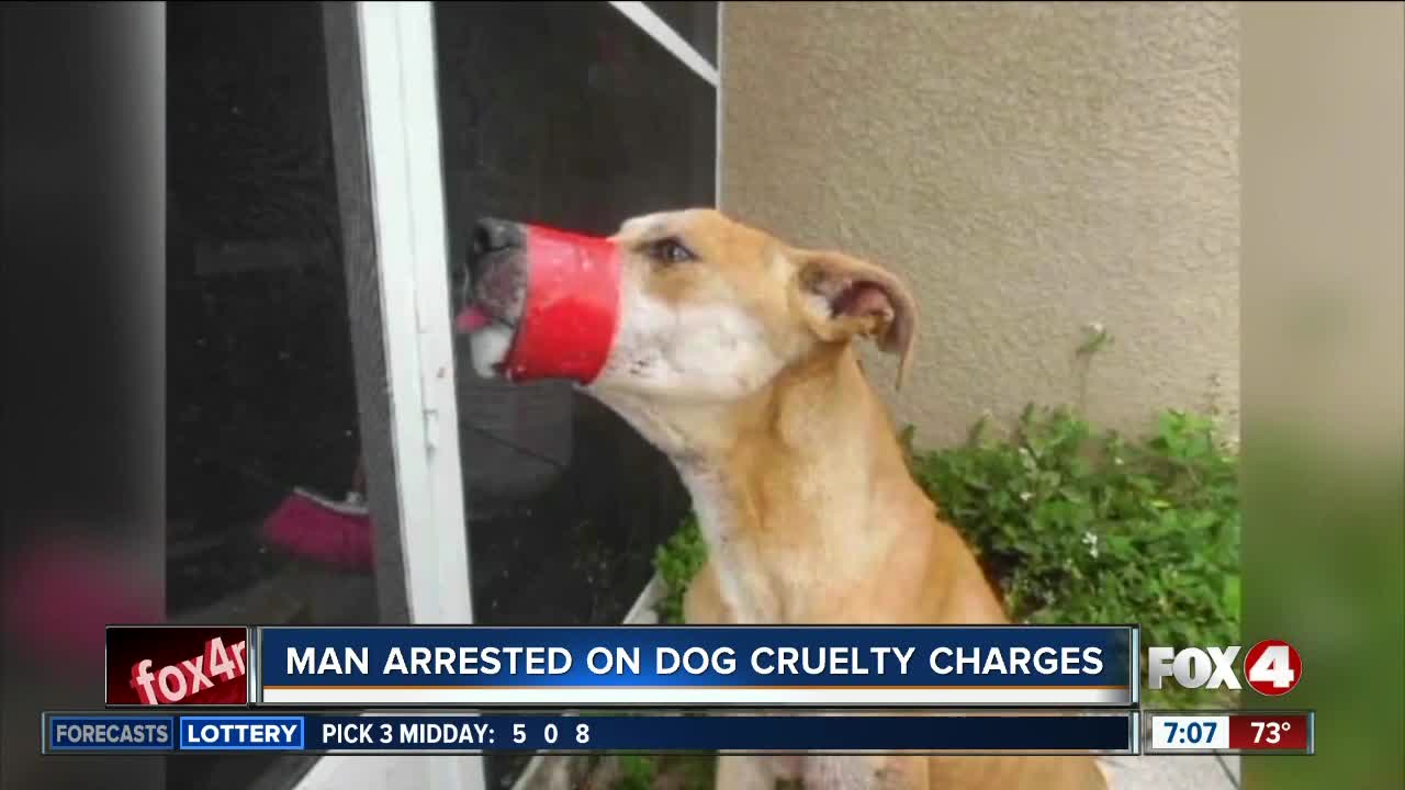 Accused dog abuser expected in court Tuesday