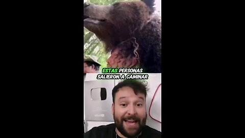 Oso curioso se acerca a saludar a campistas 😰