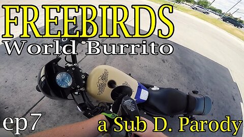 Free As A Bird - a Sub. D. Parody- Bike N' Bird Motovlog Ep.7