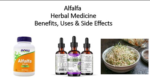 Alfalfa - Herbal Medicine - Benefits, Uses & Side Effects