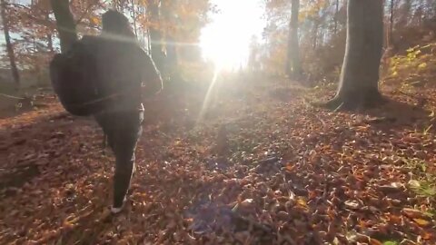 HICKING IN THE WOODLAND AT DOLINKA, POLAND