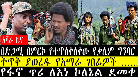 በድጋሚ በምርኮ የተጥለቀለቀው የቃሊም ግንባር/ትጥቅ ያወረዱ የአማራ ገበሬዎች ……የፋኖ ጥሪ ለእነ ኮለኔል ደመቀ