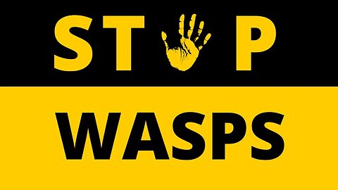 WASP TRAP EXTRAORDINAIRE - and we get you a discount!
