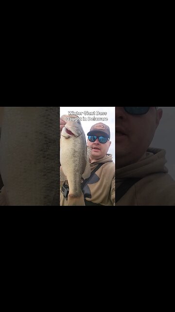 Winter Giant Bass in Delaware