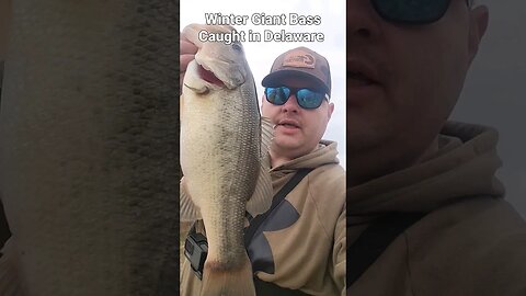 Winter Giant Bass in Delaware