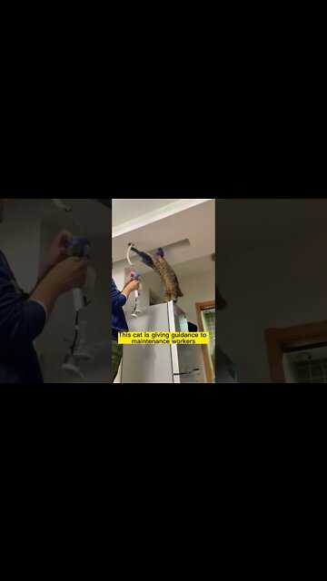 When you get is giving instructions to maintenance workers 🤣￼